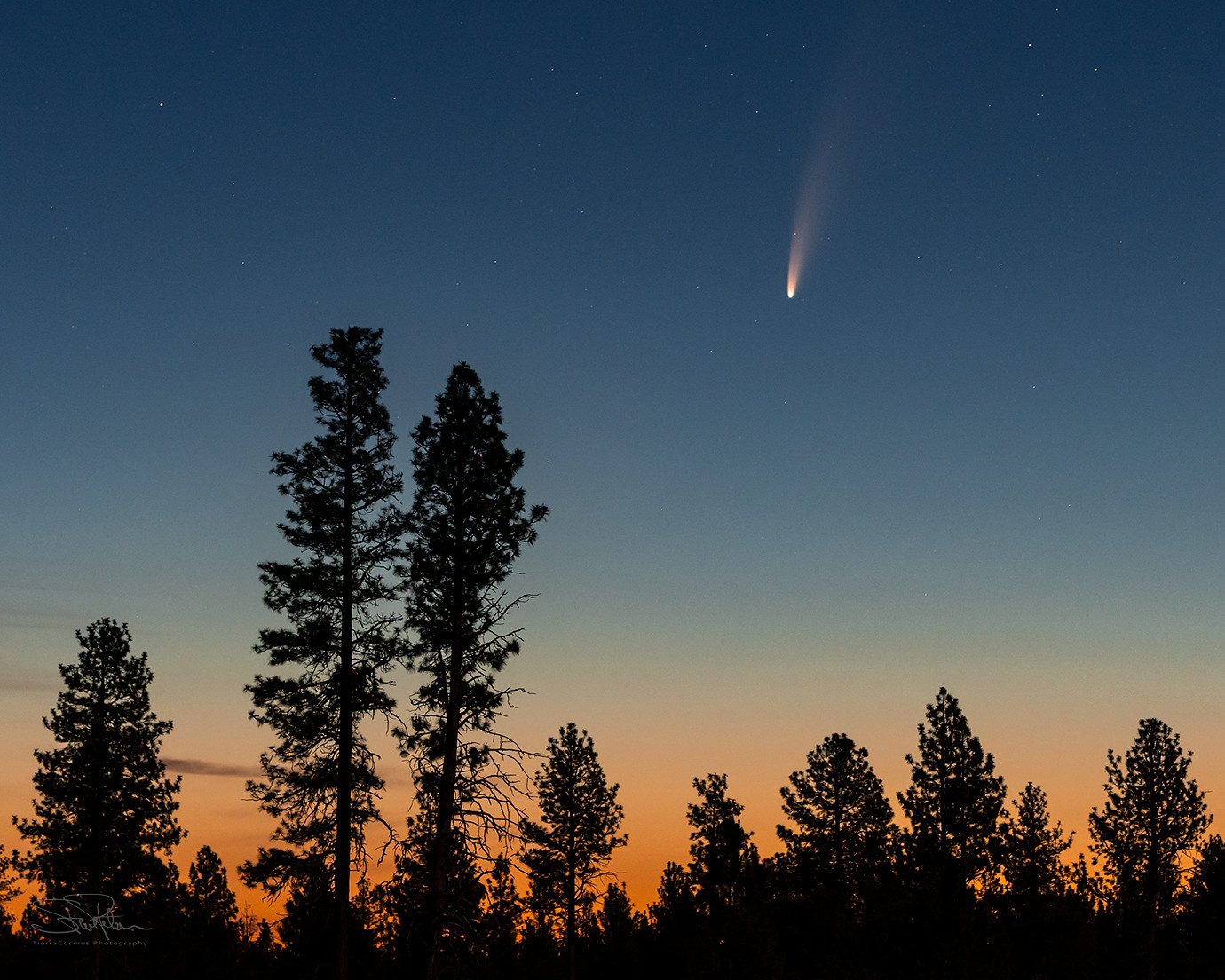 Cometa C/2020 F3 (Neowise) fotografado a partir de Oregon, EUA - Créditos: Steve Peters